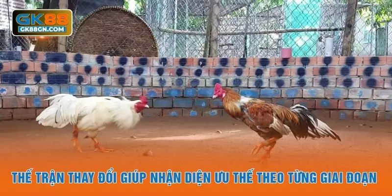 Thế trận thay đổi giúp nhận diện ưu thế theo từng giai đoạn