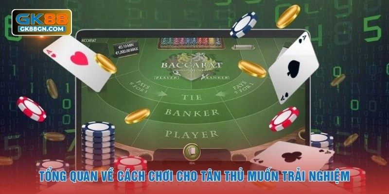 Tổng quan về cách chơi cho tân thủ muốn trải nghiệm